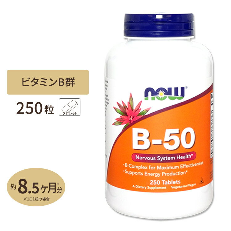 ナウフーズ B-50 サプリメント 250粒 タブレット NOW Foods B-50 250 tablets ナイアシン パントテン酸 PABA コリン イノシトール ベジ..