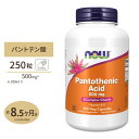 ネイチャーズプラス パントテン酸 ( ビタミンB5 ) タイムリリース 1000mg 60粒 約2ヶ月分 タブレット NaturesPlus Pantothenicc Acid