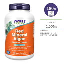 ナウフーズ レッドミネラルアルジー ベジカプセル 180粒 NOW Foods Red Mineral Algae 紅藻 海洋植物性 カルシウム マグネシウム