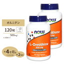 2個セット L-オルニチン 500mg (約4か月分) 3粒1500mgの「L-オルニチン」を配合 120粒 NOW Foods (ナウフーズ)