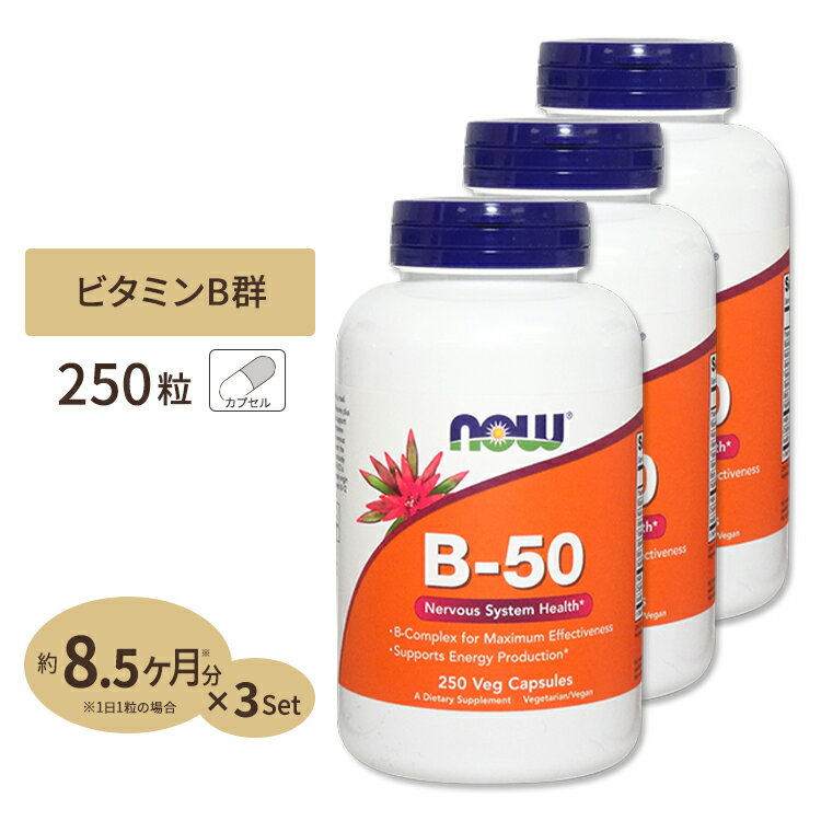 [3個セット] ナウフーズ B-50 サプリメント 250粒 NOW Foods ビタミンB群11種 葉酸 ナイアシン ビオチン パントテン酸 PABA コリン イ..