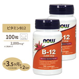 [2個セット] ビタミンB-12　2000mcg　100粒