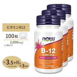 [3個セット] ビタミンB-12　2000mcg　100粒