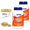 [2個セット] コリン＆イノシトール　500mg　100粒 NOW