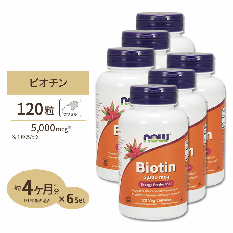 [6個セット] ナウフーズ ビオチン サプリメント 5000mcg 120粒 NOW Foods Biotin ベジカプセル ビタミンH 120日分 1