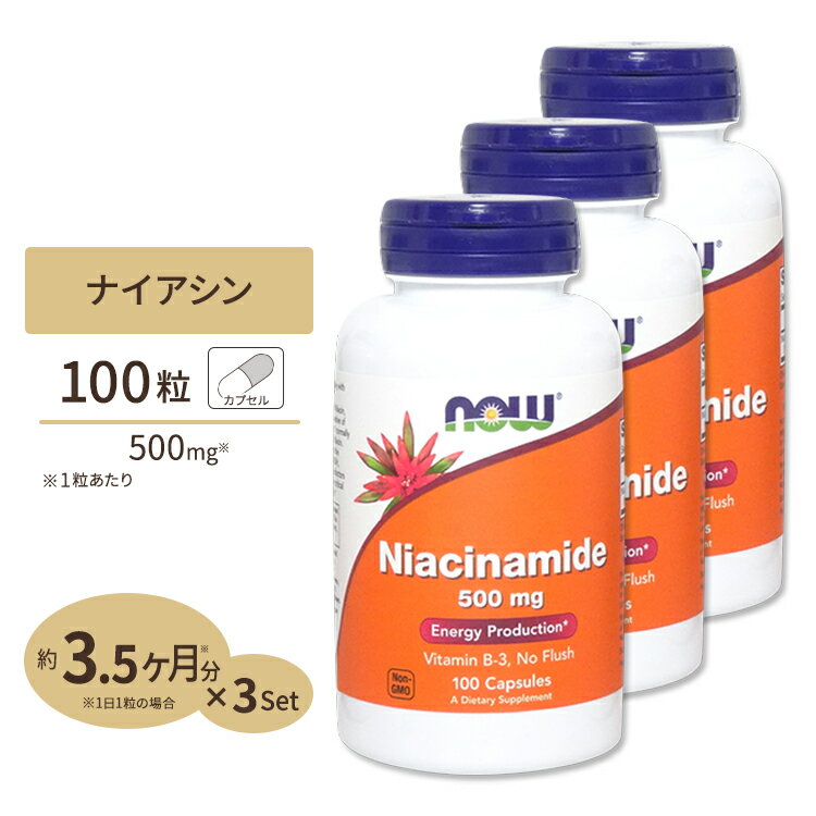 [3個セット] ナウフーズ ナイアシンアミド ビタミンB3 500mg 100粒 NOW Foods Niacinamide (B-3) イキイキとした毎日 エナジーチャージ..