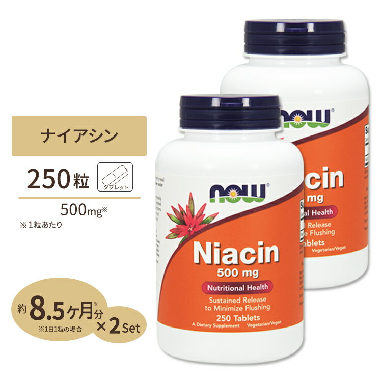 [2個セット] ナウフーズ ナイアシン サプリメント 500mg 250粒 NOW Foods Niacin タブレット