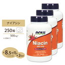 [3個セット] ナウフーズ ナイアシン サプリメント 500mg 250粒 NOW Foods Niacin タブレット