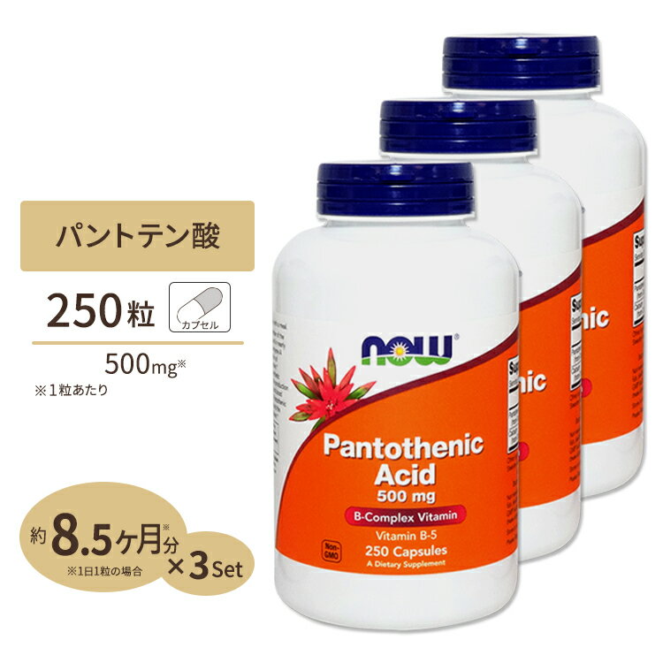 [3個セット] パントテン酸 500mg 250粒 NOW Foods(ナウフーズ)