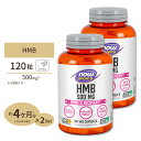 [2個セット] HMB 500mg 120粒《約3ヵ月分》 NOW Foods(ナウフーズ)