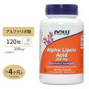 【最大10%OFFクーポン】アルファリポ酸 250mg 120粒 NOW Foods(ナウフーズ) Alpha Lipoic Acid 250 mg - 120Vcaps