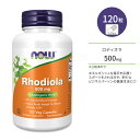 iEt[Y fBI [A 500mg xWJvZ 120 NOW Foods Rhodiola Veg Capsules [A GLX n[u CxPC