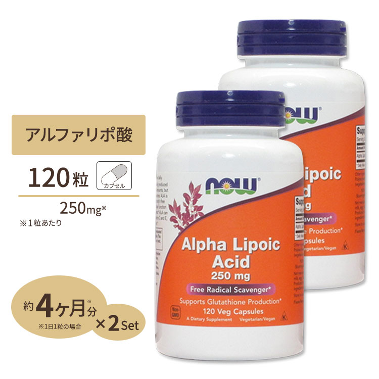 [2個セット] アルファリポ酸 250mg 120粒 NOW Foods(ナウフーズ)