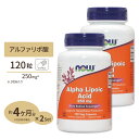 [2個セット] アルファリポ酸 250mg 120