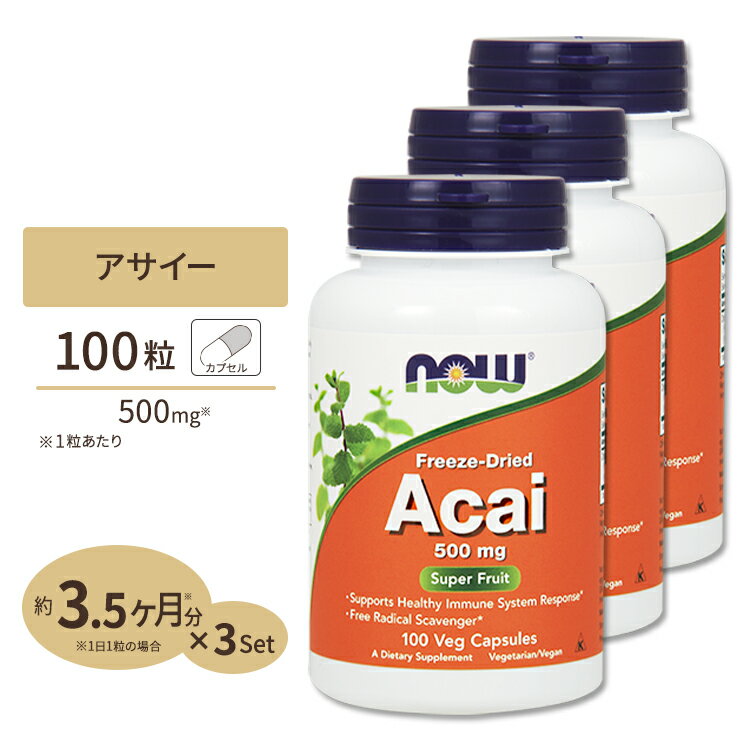 [3個セット] 【アサイー】 500mg 100粒