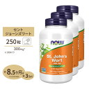  セントジョーンズワート（西洋オトギリソウ） 300mg 250粒 NOW Foods(ナウフーズ)