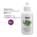 ナウフーズ アクティベイティッド 鼻用ミスト 59ml (2.0oz) NOW Foods Nasal Mist 生理食塩水 ミント