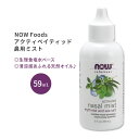 【最大10%OFFクーポン】ナウフーズ アクティベイティッド 鼻用ミスト 59ml (2.0oz) NOW Foods Nasal Mist 生理食塩水 ミント