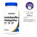 ニュートリコスト ラクトバチルス アシドフィルス カプセル 120粒 Nutricost Lactobacillus Acidophilus Capsules アシドフィルス菌 乳酸菌 プロバイオティクス