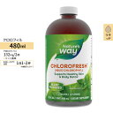 ネイチャーズウェイ クロロフレッシュ ミント 液体クロロフィル 480ml (16 fl oz) Nature's Way Cholorofresh デオドラント 口腔ケア エチケット