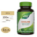 ネイチャーズウェイ コリン 500mg 100粒 Nature's Way Choline 500mg サプリ ビタミンB群 ダイエット