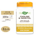 ネイチャーズウェイ コリン&イノシトール 500mg 100粒 Nature's Way Choline & Inositol 500mg サプリ ビタミンB群 ダイエット