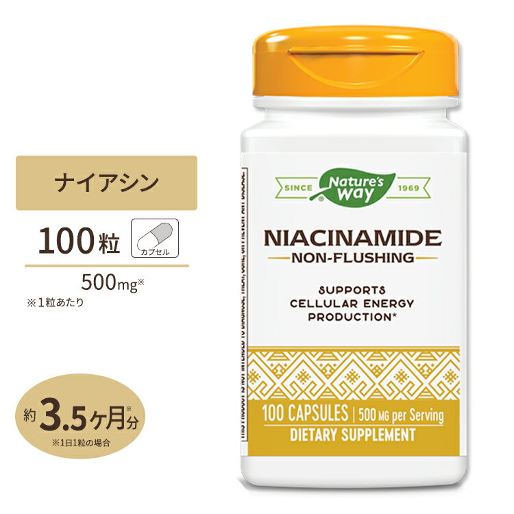 ネイチャーズウェイ ナイアシンアミド(ビタミンB-3) 500mg 100粒 カプセル《約3か月分》Nature's Way Niacinamide 500mg 100cap フラッシュ 美容 健康