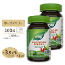 [2個セット]ネイチャーズウェイ ホーソーンベリー 1080mg 100粒 Nature's way Hawthorn Berries