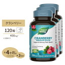  ネイチャーズウェイ クランベリー 濃縮エキス 400mg カプセル 120粒 Nature's way Cranberry Standardized 120Vcap 美容