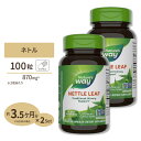 [2個セット]ネイチャーズウェイ ネトル (西洋イラクサ) 870MG カプセル 100粒 Nature's Way Nettle Leaf ダイエット 健康 植物 ハーブ