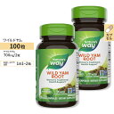 [2個セット]Nature's Way ワイルドヤム 4