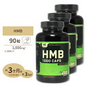 3個セット HMB 1000mg カプセル 90粒 Optimum Nutrition オプティマムニュートリション【正規契約販売法人 オフィシャルショップ】