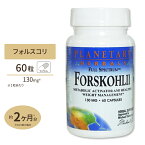 フォルスコリエキス (フォースリーン フォルスコリン20%) 130mg 60粒 サプリメント サプリ ダイエット ハーブ Planetary Herbals プラネタリーハーバルズ