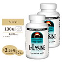 [2個セット] ソースナチュラルズ リジン Lリジン 1000mg 100粒 Source Naturals L-Lysine 1000mg 100Tablets【高含有タイプ】