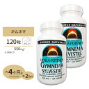  ソースナチュラルズ ギムネマシルベスタ ウルトラポテンシー 550mg 120粒 Source Naturals Gymnema Sylvestre 550mg 120Tablets