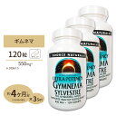  ソースナチュラルズ ギムネマシルベスタ ウルトラポテンシー 550mg 120粒 Source Naturals Gymnema Sylvestre 550mg 120Tablets