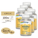 [6個セット] ソラレー 2段階タイムリリース ビタミンC 1000mg 100粒 Solaray Vitamin C With Rose Hips & Acerola Timed-Release