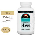 【最大10%OFFクーポン】ソースナチュラルズ L-リジン 500mg 250粒 タブレット Source Naturals L-Lysine tablets 必須アミノ酸 健骨サポート 若々しい毎日 丈夫な体づくり