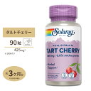 ソラレー タルトチェリー フルーツエキス 425mg カプセル 90粒 Solaray Tart Cherry Fruit Extract Capsule