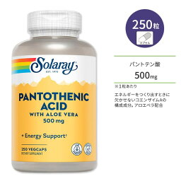 ソラレー パントテン酸 アロエベラ配合 500mg ビーガン ベジカプセル 250粒 Solaray Pantothenic Acid ビタミンB5 水溶性ビタミン