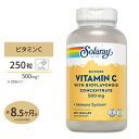 ソラレー バッファード ビタミンC with バイオフラボノイド 500mg ベジタブルカプセル 250 粒 Solaray Vitamin C With Bioflavonoid Complex Buffered VegCap体調 管理 健康 話題 対策 習慣