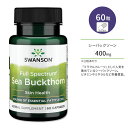 スワンソン シーバックソーン 400mg 60粒 カプセル Swanson Full Spectrum Sea Buckthorn サプリメント サジー ミラクルフルーツ ビタミン ミネラル アミノ酸 お肌 美容サポート 美容ケア