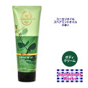 oX&{fB[NX [J+XyA~g {fBN[ 226g (8oz) Eucalyptus Spearmint Body Cream Bath & Body Works XLPA PA g