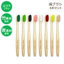 バージンフォレスト バンブー 炭 歯ブラシ 大人用 エコ 8本セット Virgin Forest Bamboo Toothbrush Charcoal Tooth Brush