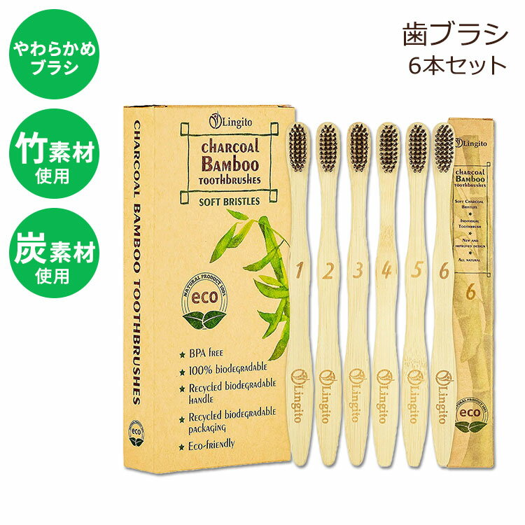 リンギト ナチュラルチャコールバンブー歯ブラシ 6本入り Lingito 6-Pack Natural Charcoal Bamboo Toothbrushes ソフト 炭 竹 おしゃれ