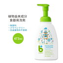 ベビガニックス フォーミングディッシュ＋ボトルソープ 食器洗剤 無香料 473ml (16 fl oz) Babyganics Foaming Dish & Bottle Soap Fragrance Free 植物由来成分 泡タイプ