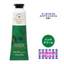 バス&ボディワークス ユーカリ+スペアミント アロマセラピー ハンドクリーム 29ml (1floz) Bath&Body Works Aromatherapy Eucalyptus Spearmint Hand Cream シアバター エッセンシャルオイル