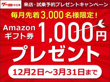 NV350キャラバンバン ロングプレミアムGX 4ナンバー8人乗り新車コンプリート（日産）