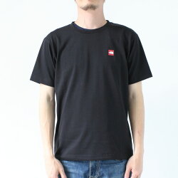 ザノースフェイスTシャツTHENORTHFACEショートスリーブスモールボックスロゴティーNT31955