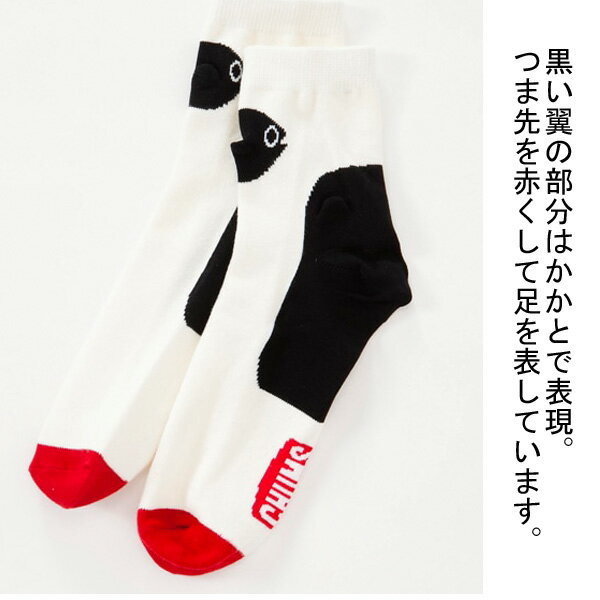 【送料無料】 クルーソックス (ホワイト・レッド・ブルー) (23-25cm) (3足セット)みっとめるへん社